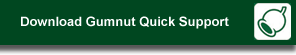 Download Quick Support