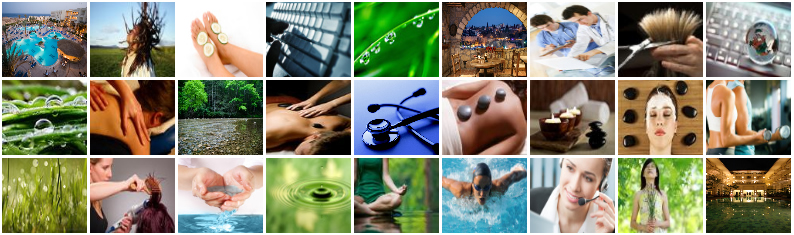 Gumnut Systems International