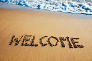 Welcome to Gumnut�s inaugural newsletter